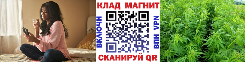 Купить закладку СК  Меф  ГАШИШ  КОКАИН  Пудож