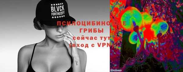 молекула духа Наволоки